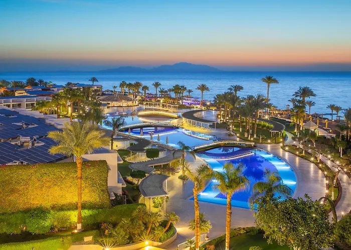 Monte Carlo & (adults Only)