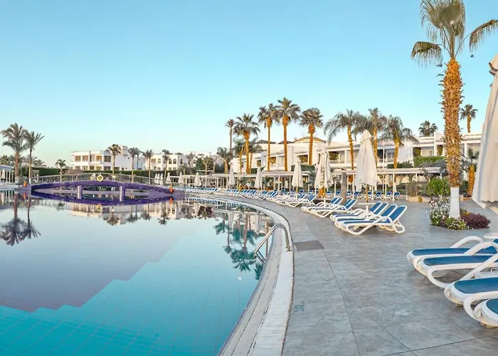 Monte Carlo & (adults Only) 5*