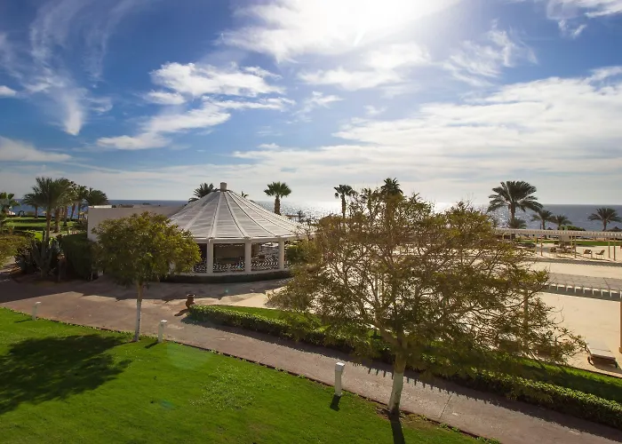 Monte Carlo & (adults Only) 5*