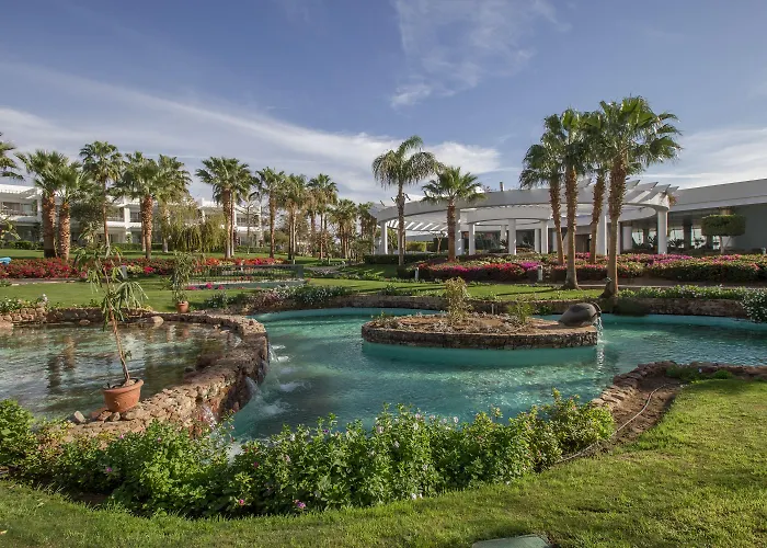 Monte Carlo & (adults Only) 5*