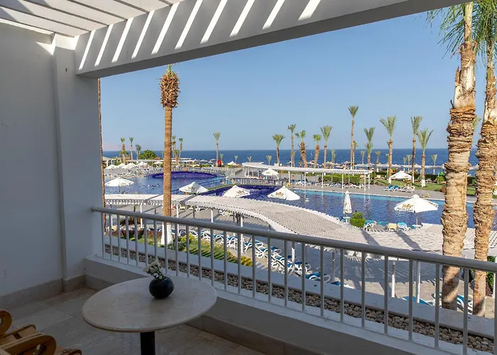 Monte Carlo & (adults Only) 5*